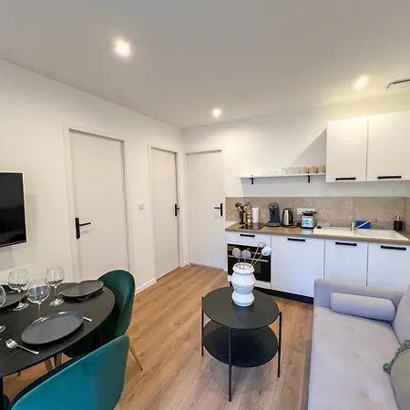 Apartment Syrah Casa Maja - Parking Prive - Tersasse Saint-Etienne (Loire)